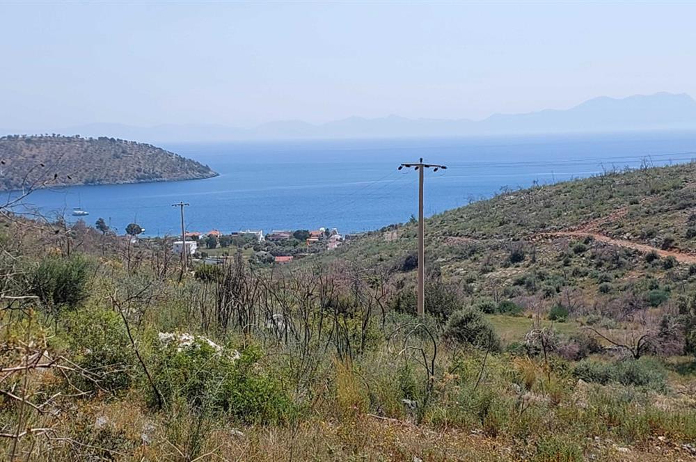 BODRUM ÇÖKETME DENİZ MANZARALI ZEYTİNLİK