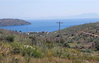 BODRUM ÇÖKETME DENİZ MANZARALI ZEYTİNLİK