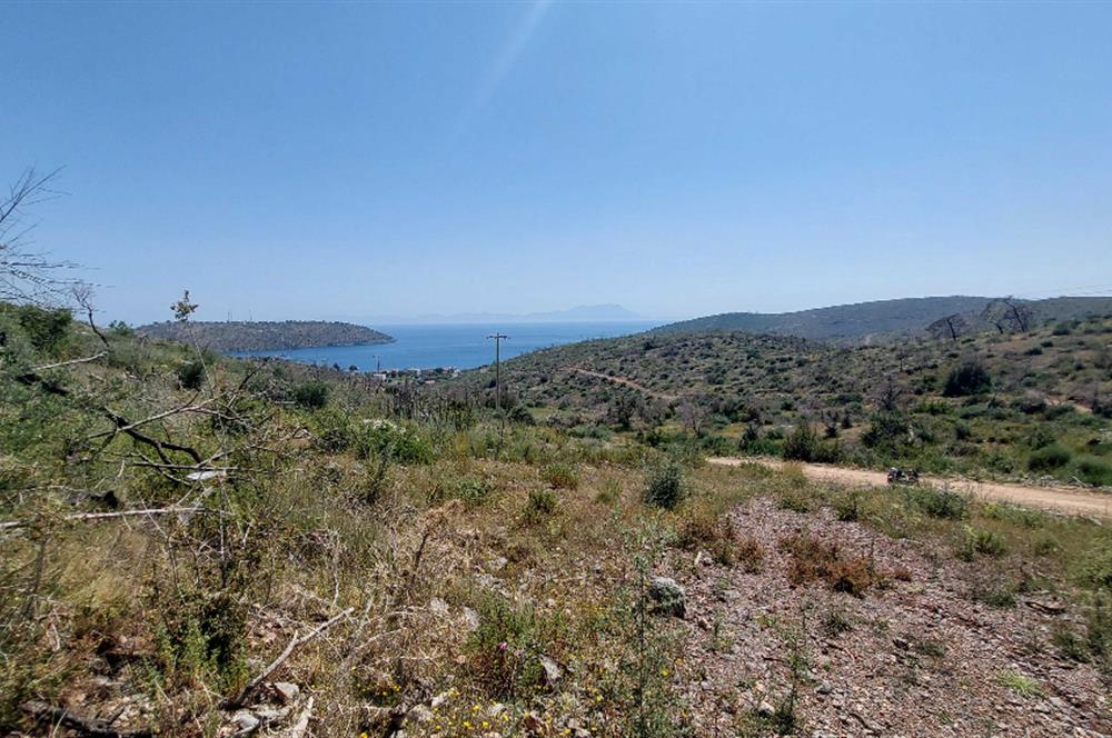 BODRUM ÇÖKETME DENİZ MANZARALI ZEYTİNLİK