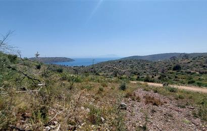 BODRUM ÇÖKETME DENİZ MANZARALI ZEYTİNLİK