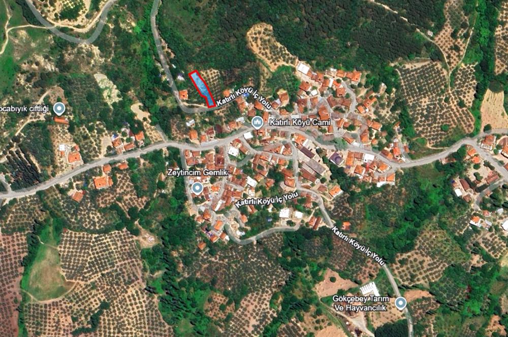 C21 Cius; Katırlı Köyiçi İmarlı Yola Cephe Satılık 691m2 Zeytinlik