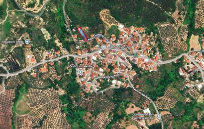 C21 Cius; Katırlı Köyiçi İmarlı Yola Cephe Satılık 691m2 Zeytinlik