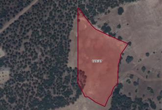 C21 LOFT'tan Tarımın Kalbinde 21 Dönüm Güçlü Yatırım - 2 - 32159