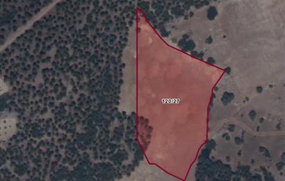 C21 LOFT'tan Tarımın Kalbinde 21 Dönüm Güçlü Yatırım