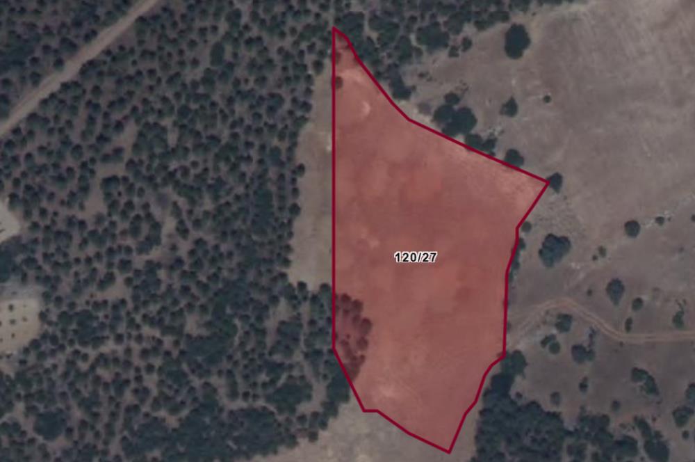 C21 LOFT'tan Tarımın Kalbinde 21 Dönüm Güçlü Yatırım