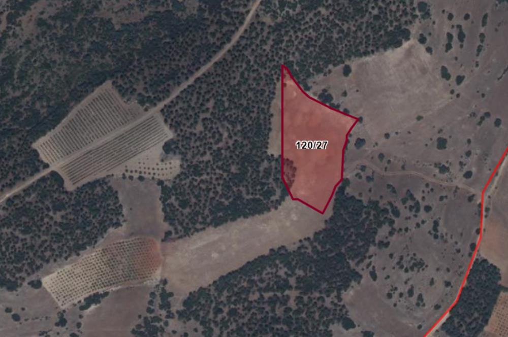 C21 LOFT'tan Tarımın Kalbinde 21 Dönüm Güçlü Yatırım