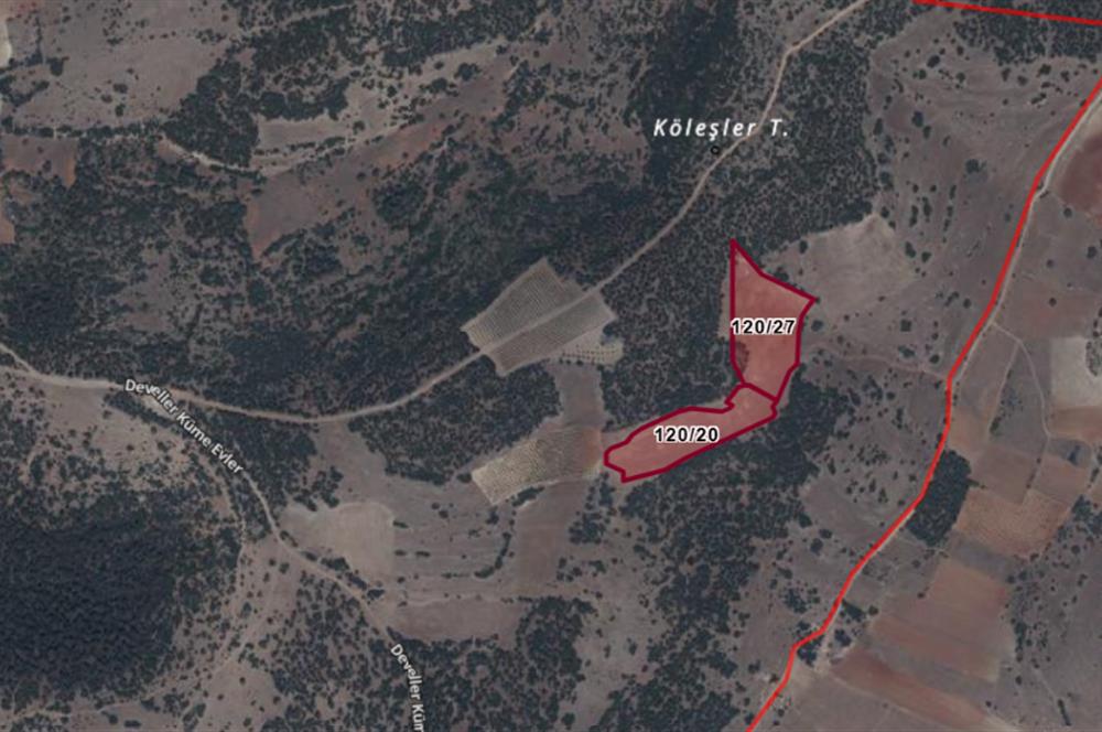 C21 LOFT'tan Tarımın Kalbinde 21 Dönüm Güçlü Yatırım