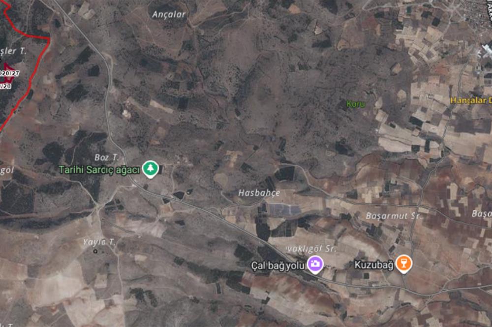 C21 LOFT'tan Tarımın Kalbinde 21 Dönüm Güçlü Yatırım