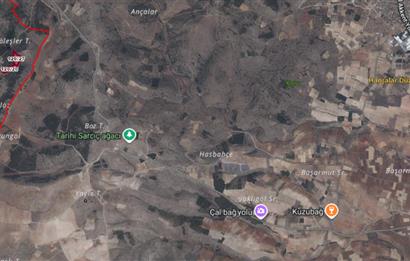 C21 LOFT'tan Tarımın Kalbinde 21 Dönüm Güçlü Yatırım