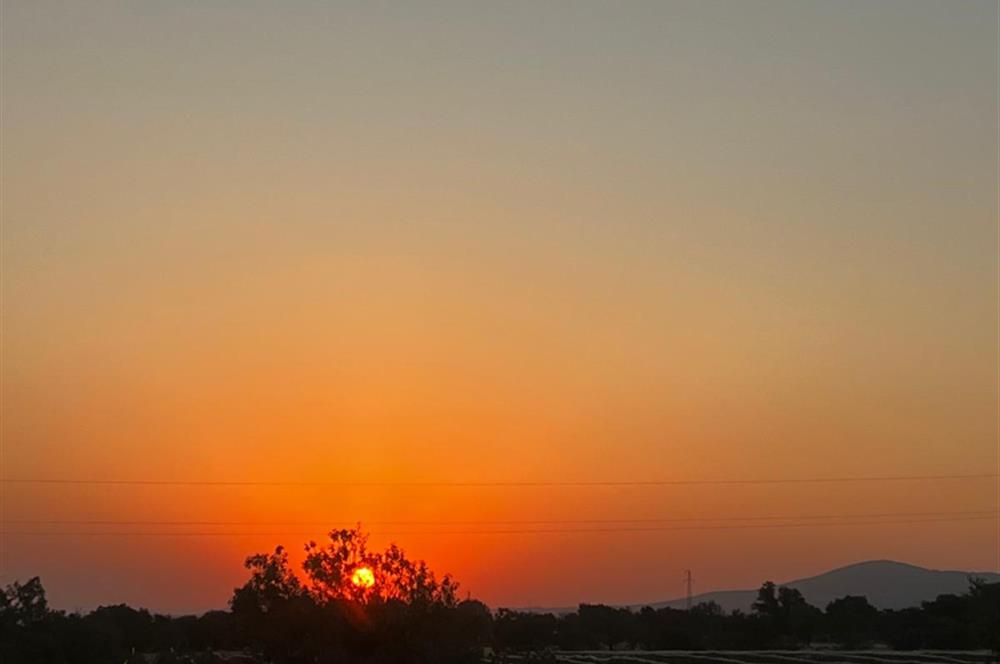 C21 LOFT'tan Verim ve Ev Hazır, Kızılcabölük'te Ceviz Bahçesi