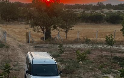 C21 LOFT'tan Verim ve Ev Hazır, Kızılcabölük'te Ceviz Bahçesi