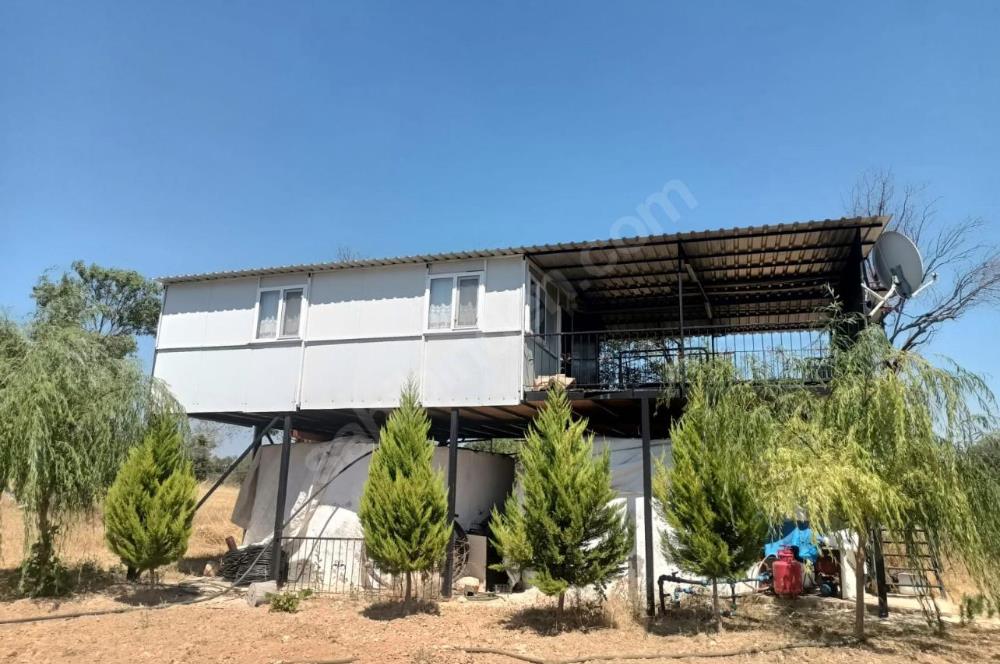 C21 LOFT'tan Verim ve Ev Hazır, Kızılcabölük'te Ceviz Bahçesi