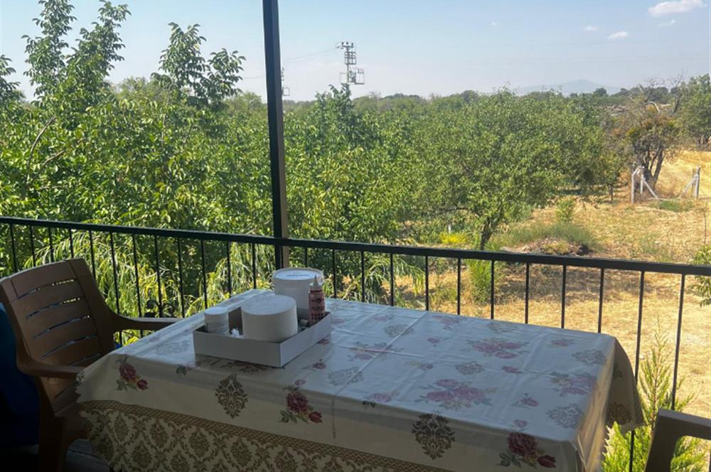 C21 LOFT'tan Verim ve Ev Hazır, Kızılcabölük'te Ceviz Bahçesi