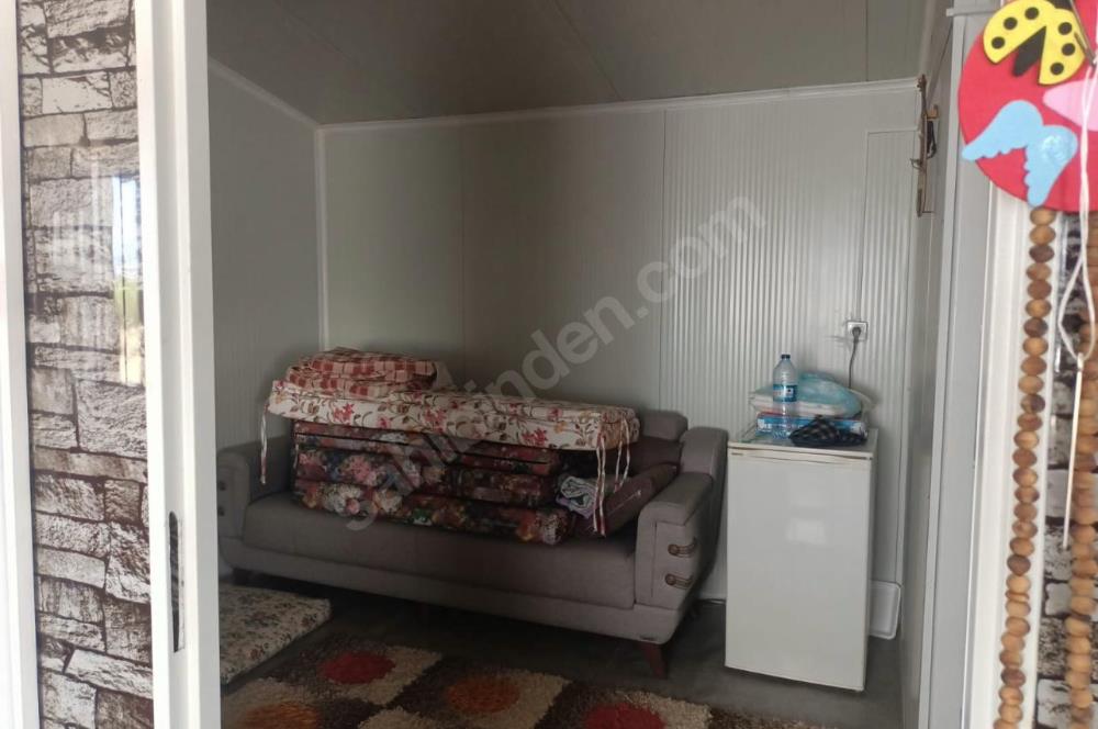 C21 LOFT'tan Verim ve Ev Hazır, Kızılcabölük'te Ceviz Bahçesi