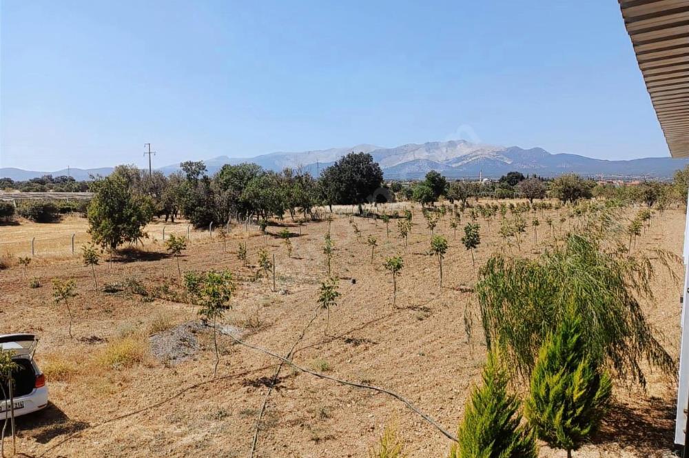 C21 LOFT'tan Verim ve Ev Hazır, Kızılcabölük'te Ceviz Bahçesi