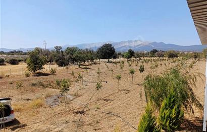 C21 LOFT'tan Verim ve Ev Hazır, Kızılcabölük'te Ceviz Bahçesi