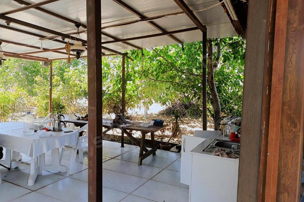 C21 LOFT'tan Verim ve Ev Hazır, Kızılcabölük'te Ceviz Bahçesi