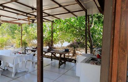 C21 LOFT'tan Verim ve Ev Hazır, Kızılcabölük'te Ceviz Bahçesi