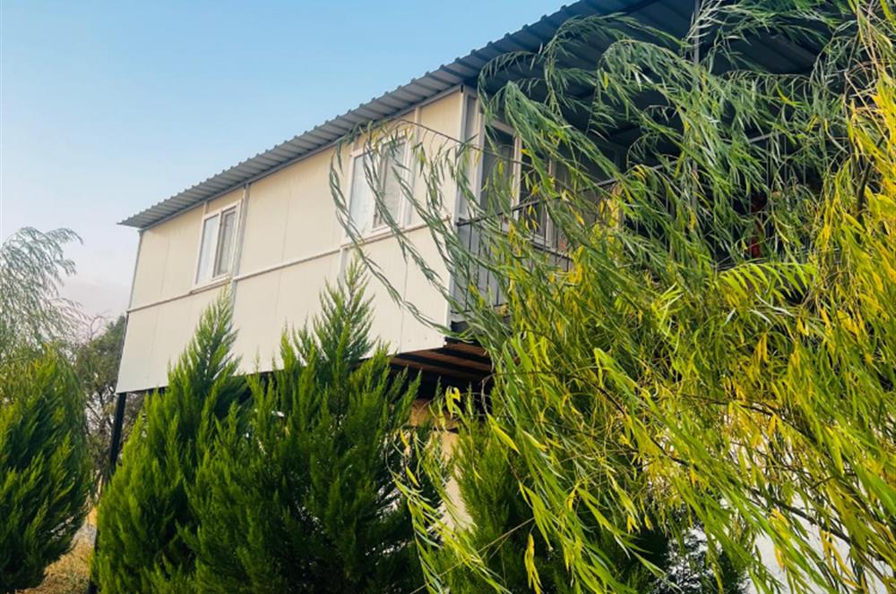 C21 LOFT'tan Verim ve Ev Hazır, Kızılcabölük'te Ceviz Bahçesi