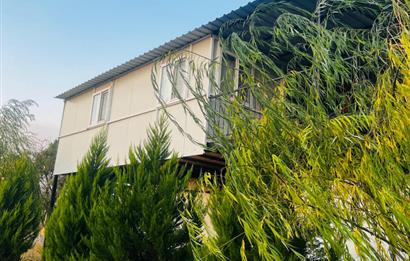 C21 LOFT'tan Verim ve Ev Hazır, Kızılcabölük'te Ceviz Bahçesi