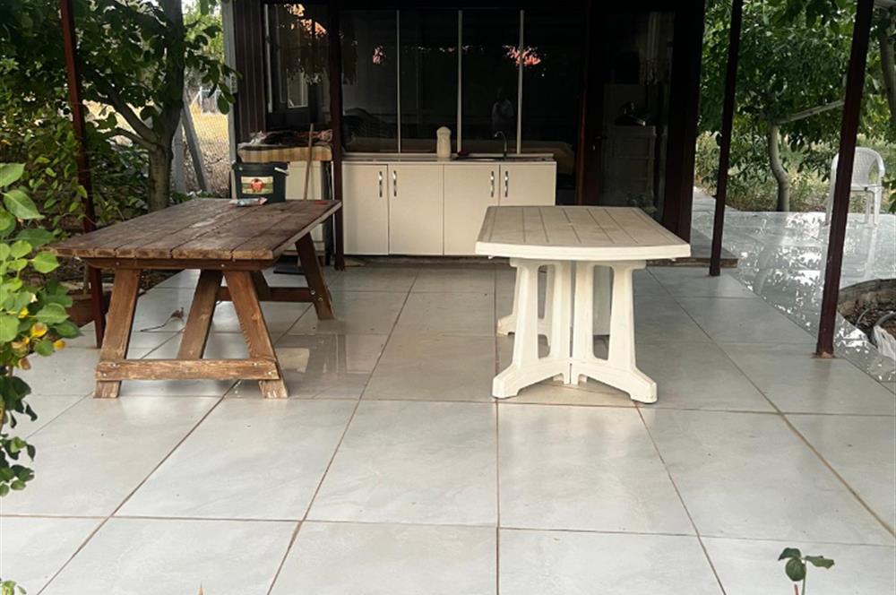 C21 LOFT'tan Verim ve Ev Hazır, Kızılcabölük'te Ceviz Bahçesi