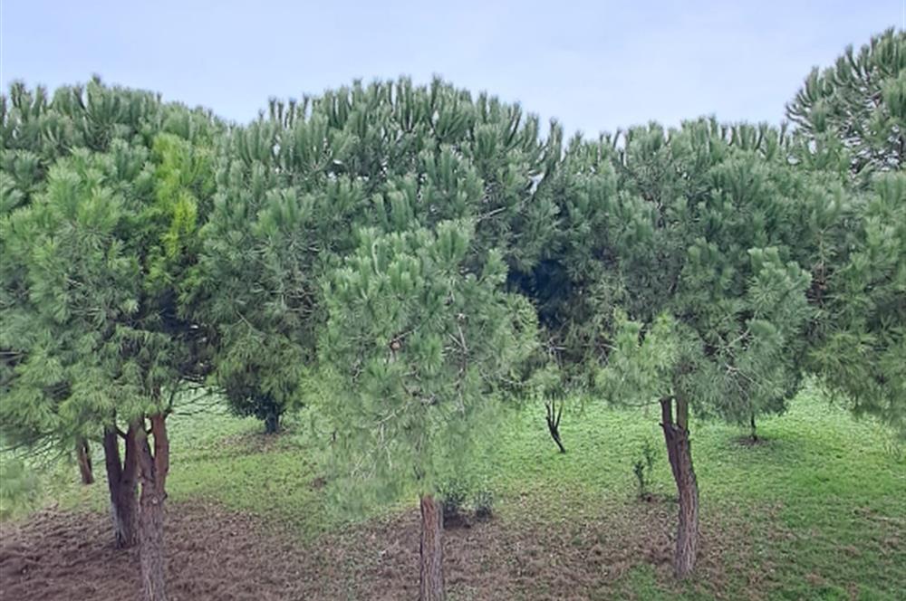 BEYLİKDÜZÜ SAHİLDE SİTE İÇİNDE 6+1 KİRALIK VİLLA