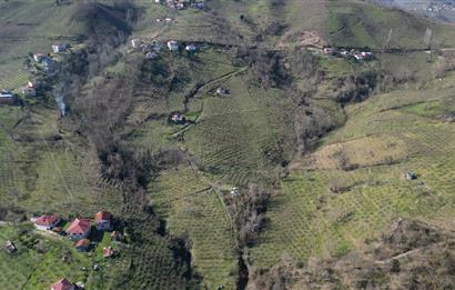 🌿 Ordu Neneli Mahallesi’nde Doğayla İç İçe Satılık Fındık Bahçesi ve Ev