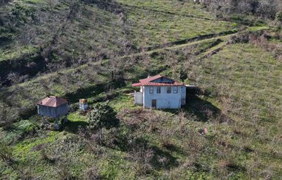 🌿 Ordu Neneli Mahallesi’nde Doğayla İç İçe Satılık Fındık Bahçesi ve Ev