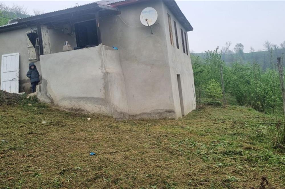 🌿 Ordu Neneli Mahallesi’nde Doğayla İç İçe Satılık Fındık Bahçesi ve Ev