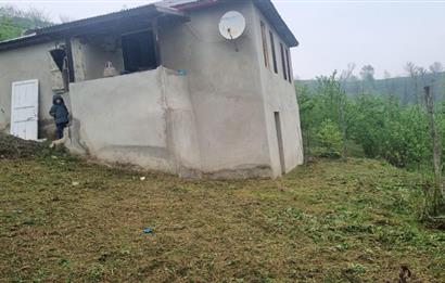 🌿 Ordu Neneli Mahallesi’nde Doğayla İç İçe Satılık Fındık Bahçesi ve Ev