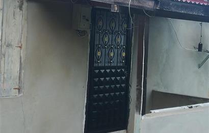 🌿 Ordu Neneli Mahallesi’nde Doğayla İç İçe Satılık Fındık Bahçesi ve Ev