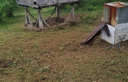 🌿 Ordu Neneli Mahallesi’nde Doğayla İç İçe Satılık Fındık Bahçesi ve Ev