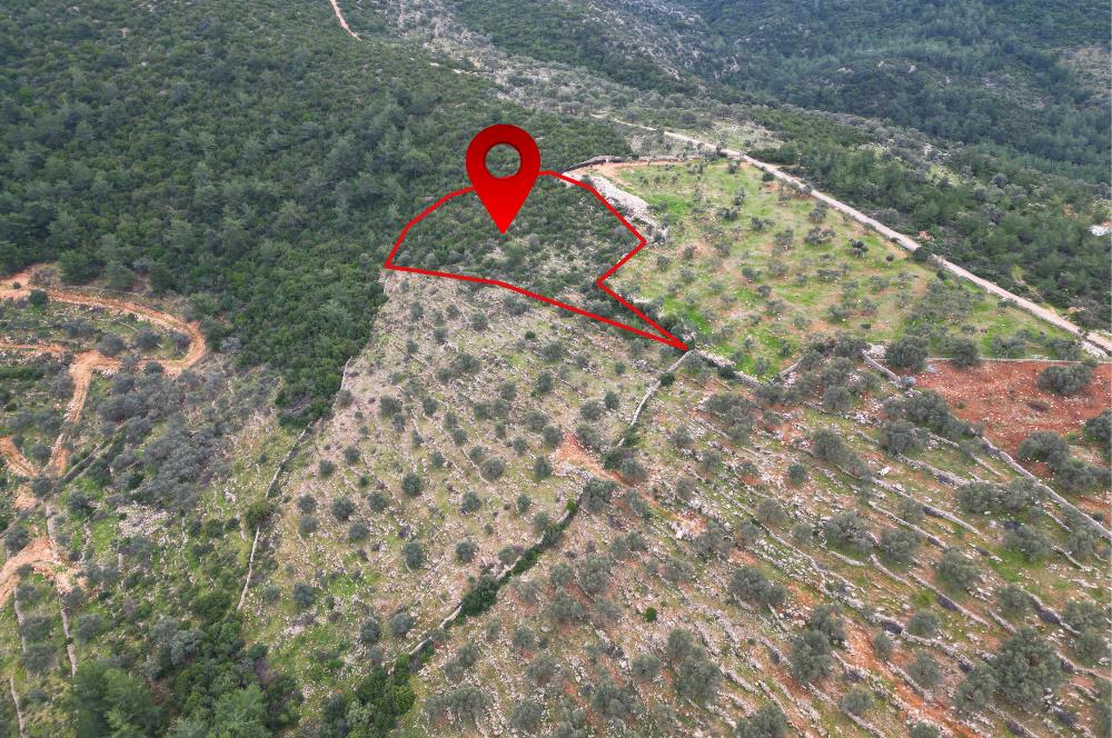 BODRUM YALIÇİFTLİK'TE YATIRIM DEĞERİ YÜKSEK ARAZİ