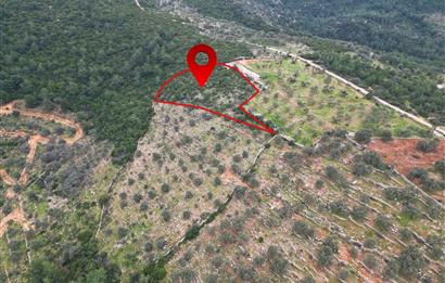 BODRUM YALIÇİFTLİK'TE YATIRIM DEĞERİ YÜKSEK ARAZİ