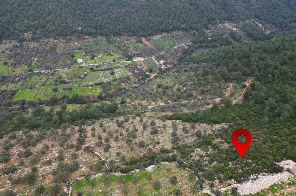 BODRUM YALIÇİFTLİK'TE YATIRIM DEĞERİ YÜKSEK ARAZİ