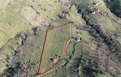 🌿 Ordu Neneli Mahallesi’nde Doğayla İç İçe Satılık Fındık Bahçesi ve Ev