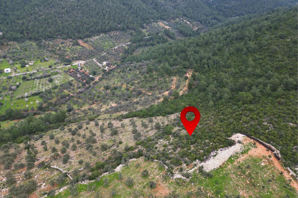 BODRUM YALIÇİFTLİK'TE YATIRIM DEĞERİ YÜKSEK ARAZİ