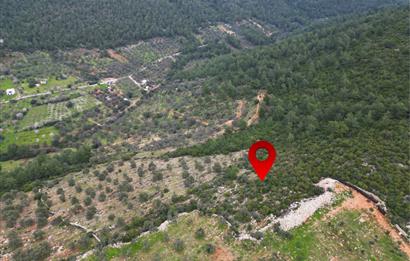BODRUM YALIÇİFTLİK'TE YATIRIM DEĞERİ YÜKSEK ARAZİ