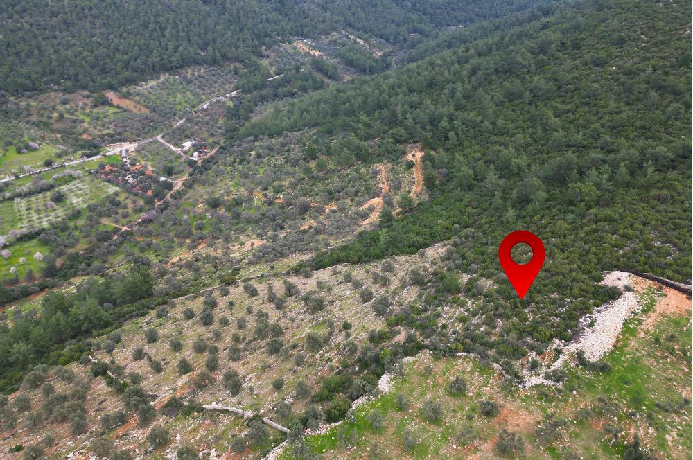 BODRUM YALIÇİFTLİK'TE YATIRIM DEĞERİ YÜKSEK ARAZİ