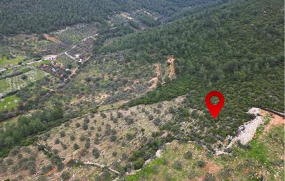 BODRUM YALIÇİFTLİK'TE YATIRIM DEĞERİ YÜKSEK ARAZİ