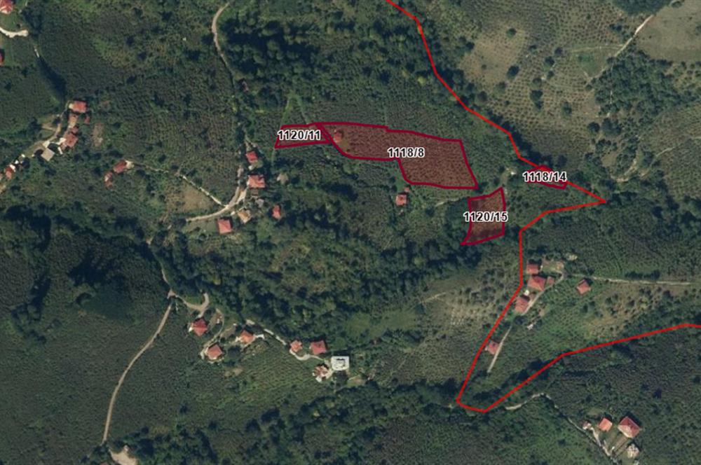 🌿 Ordu Neneli Mahallesi’nde Doğayla İç İçe Satılık Fındık Bahçesi ve Ev