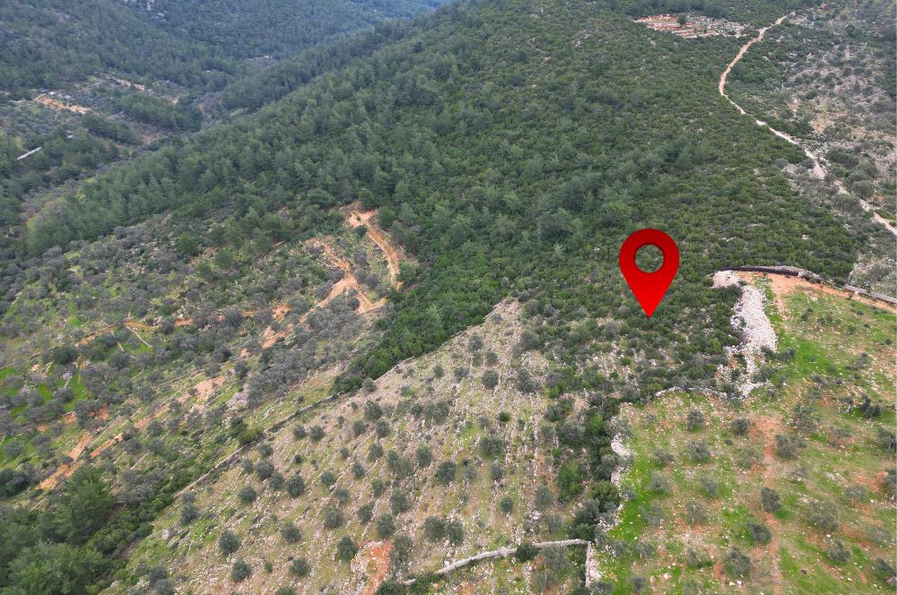 BODRUM YALIÇİFTLİK'TE YATIRIM DEĞERİ YÜKSEK ARAZİ