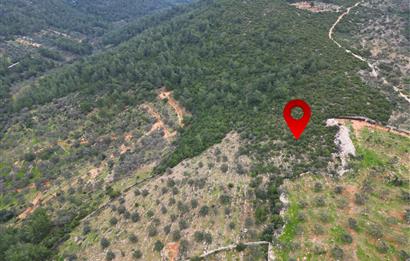 BODRUM YALIÇİFTLİK'TE YATIRIM DEĞERİ YÜKSEK ARAZİ