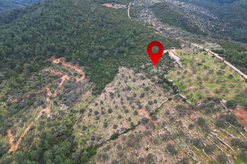 BODRUM YALIÇİFTLİK'TE YATIRIM DEĞERİ YÜKSEK ARAZİ