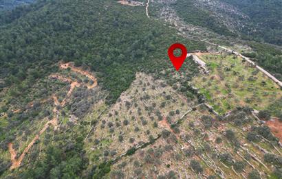 BODRUM YALIÇİFTLİK'TE YATIRIM DEĞERİ YÜKSEK ARAZİ