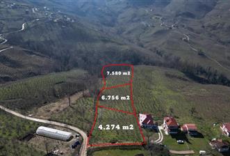 C 21 DEN DELİKKAYA ÖVÜNDÜK MAH. 18.600 M2 FINDIK BAHÇESİ  - 5 - 32208