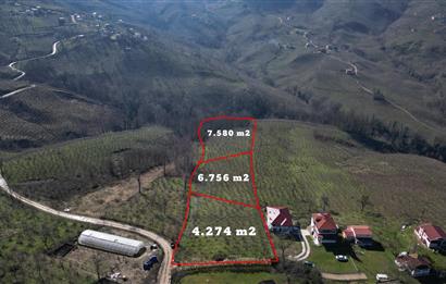 C 21 DEN DELİKKAYA ÖVÜNDÜK MAH. 18.600 M2 FINDIK BAHÇESİ 