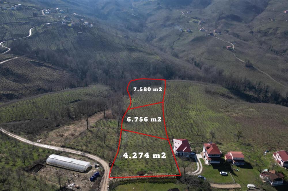 C 21 DEN DELİKKAYA ÖVÜNDÜK MAH. 18.600 M2 FINDIK BAHÇESİ 