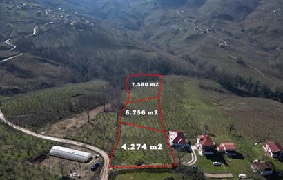 C 21 DEN DELİKKAYA ÖVÜNDÜK MAH. 18.600 M2 FINDIK BAHÇESİ 