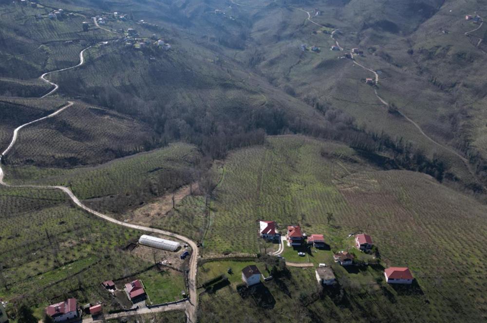 C 21 DEN DELİKKAYA ÖVÜNDÜK MAH. 18.600 M2 FINDIK BAHÇESİ 